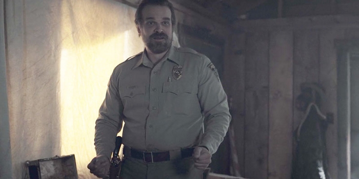 Did the Internet Just Send Hopper from "Stranger Things" to Antarctica to Dance With Penguins?