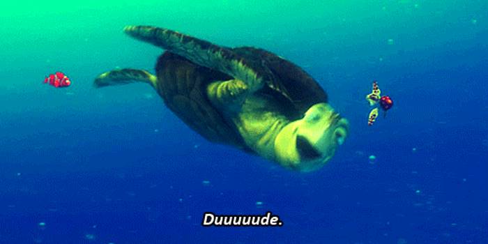 "Dude", "K" and "Salty" are Apparently Aussie Teens' Fave Words