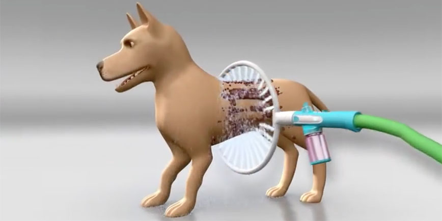 We Want The "Woof Washer 360" But Maybe For Ourselves
