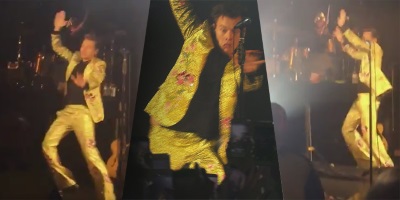 Please, Please Stop Throwing Kiwi Fruit at Harry Styles, His Life Is at Risk