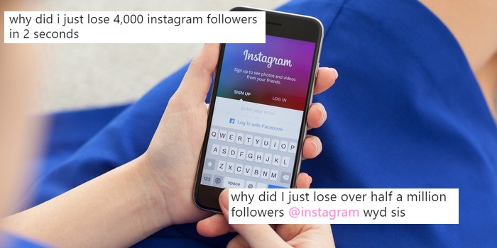 lost a few instagram followers it might be a bug not you - how can you make someone lose followers on instagram