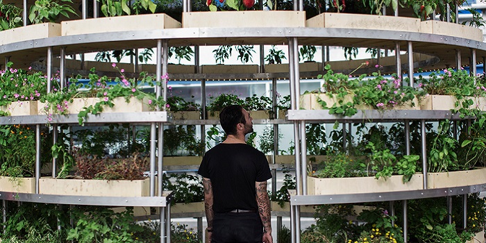Imagine Building This Giant IKEA Spherical Garden