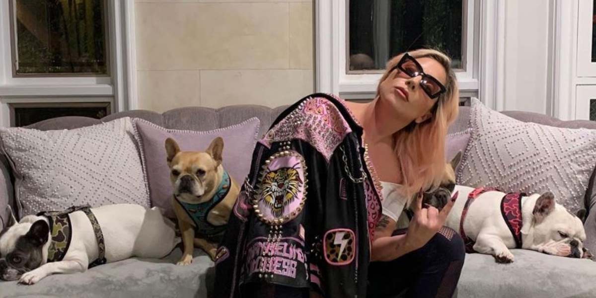 Five People Arrested for Dognapping Lady Gaga’s French Bulldogs