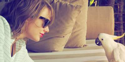 Taylor Swift Thinks The Australian Press Should “Take It Down A Notch”