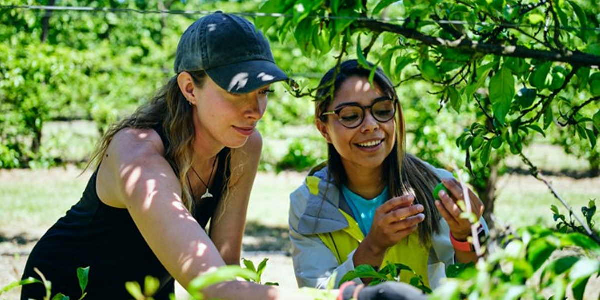 How You Can Get Paid to Make Memories This Summer