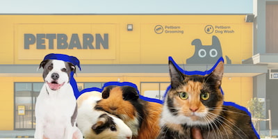 How to Apply for a Casual Job at Petbarn