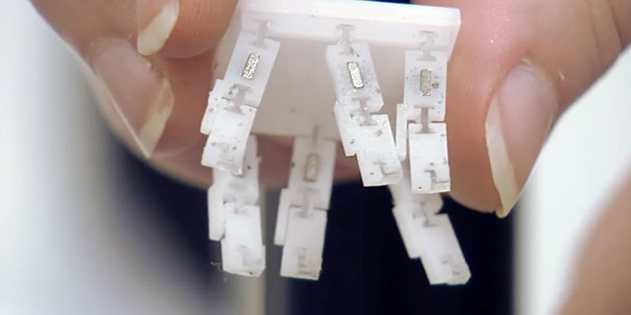 TEDnesday Talks: "Why I Make Robots The Size Of A Grain Of Rice"