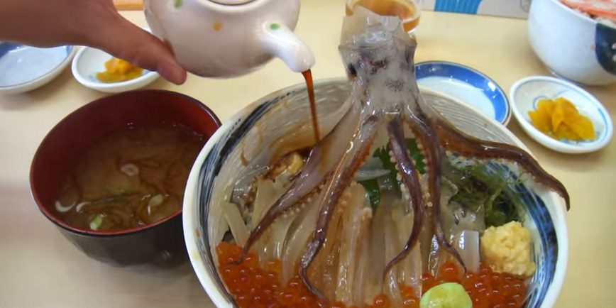 Watch A Dead Cuttlefish Be Frankensteined To Life By Soy Sauce