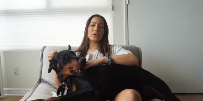 Police Won’t Charge YouTuber Brooke Houts With Animal Abuse