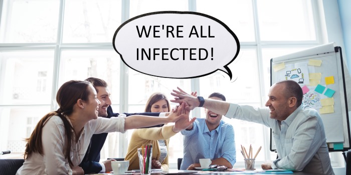 Are You Studying Business? You May Have a Mind-Controlling Parasite from Cat Poop, Science Says
