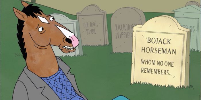 A New "Bojack Horseman" Trailer Has Been Released, But Bojack's Still Missing