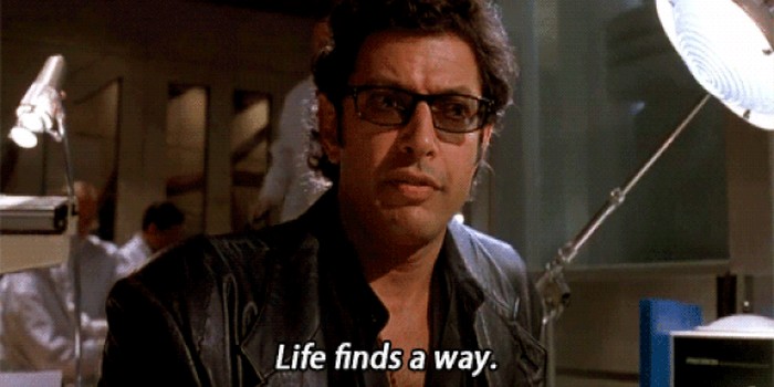 Jeff Goldblum Serves Snags in Sydney Just Cause He’s Jeff Goldblum