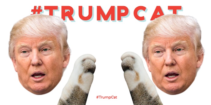 Donald Trump's Lawyers Take Aim at High Schooler Who Created Kitten-Scratching Website