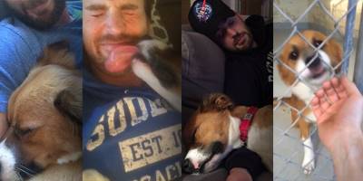 Watch and Weep: Here’s How Chris Evans Met His Rescue Dog, Dodger