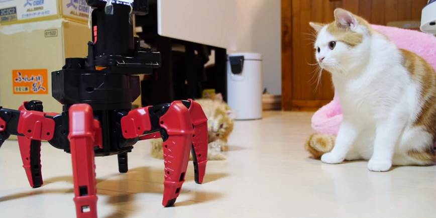 Kittens vs Robots: Requiem