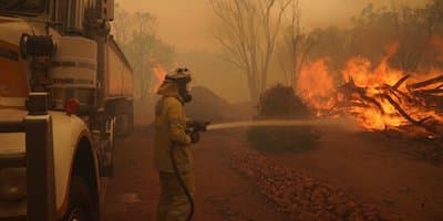 Here’s How You Can Help Perth’s Bushfire Victims