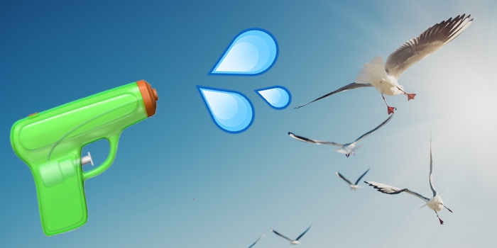 A Perth Restaurant Is Giving Their Diners Water Guns to Blast Seagulls Away