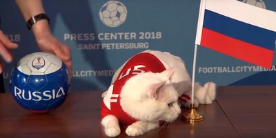 Move Over, Paul the Octopus: 'Psychic Cat' Has Gotten the First World Cup Prediction Correct