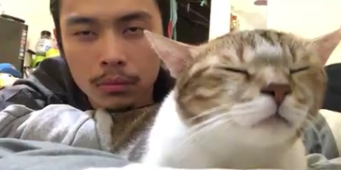 For Some Reason, Here's A Super-Chill Cat (And Its Owner) Vibing On "Hotline Bling"