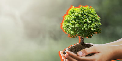 5 Easy Ways to Support Earth Day in 2023