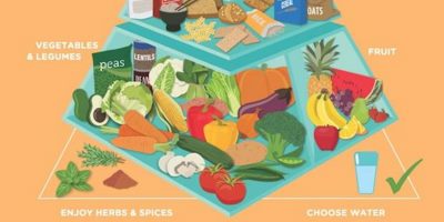 There Is A New Nutrition Pyramid, So Burn Your Old Ones