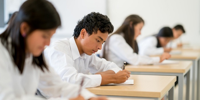 Top HSC Performers Share Their Hot Tips For Success