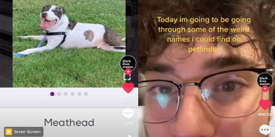 TikTok of The Week: These Dogs Have the Most Ridiculous Names and I’m Wheezing