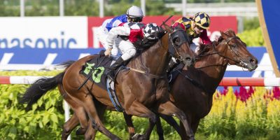 Actually, Horses Might Not Like Being Whipped After All