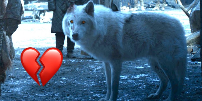 Jon Snow Didn't Give Ghost a Good Boy Pat Because of Budget