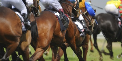 Should We Watch The Melbourne Cup?