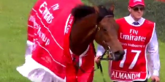 Almandin Takes Home This Year's Melbourne Cup