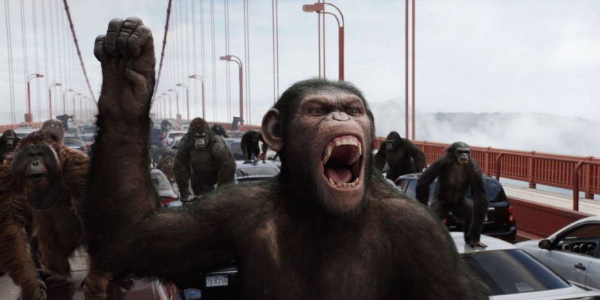 Ape Escape: Orangutan Makes A Break For It At Melbourne Zoo