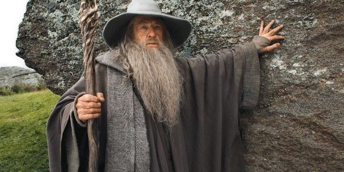 Hold My Staff: Amazon Is Producing a "Lord of the Rings" Prequel TV Series