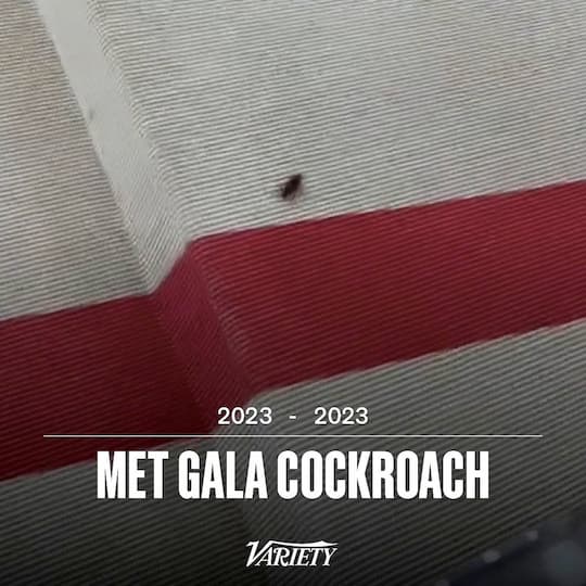 rip met gala cockroach 2023