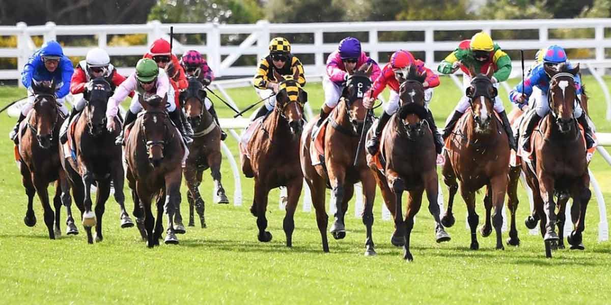 Say Nup to the Cup: What Young People Think of the Melbourne Cup