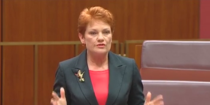 Pauline Hanson Is Getting Roasted for Taking Aim at Children With Disabilities