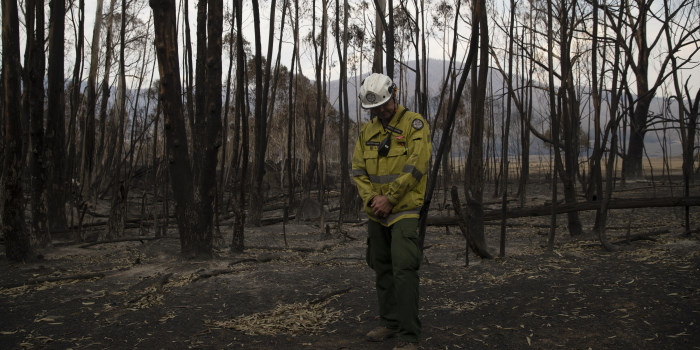 All Remaining NSW Bushfires Are Now Contained After a Week of Rain