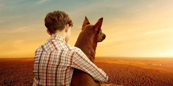 The Teaser For "Red Dog: True Blue" Is Here To Make You Weep