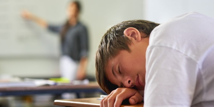 Schools Should Have Siestas and Science Has Our Back