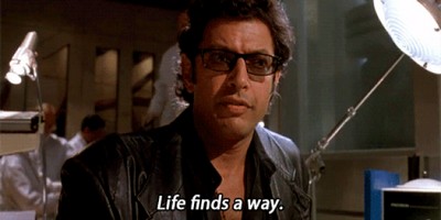 Jeff Goldblum Serves Snags in Sydney Just Cause He’s Jeff Goldblum