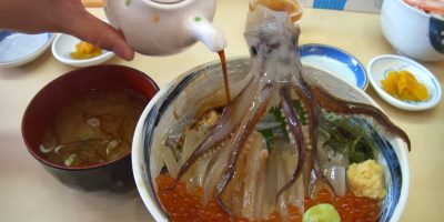 Watch A Dead Cuttlefish Be Frankensteined To Life By Soy Sauce