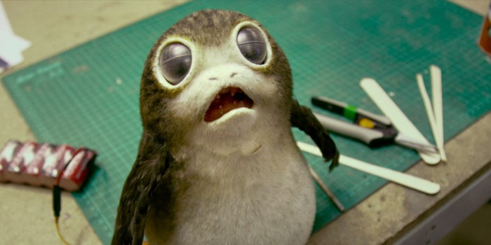 Porgs, After Dark: 22% of Students Are Going to Midnight Screenings of “Star Wars: The Last Jedi”