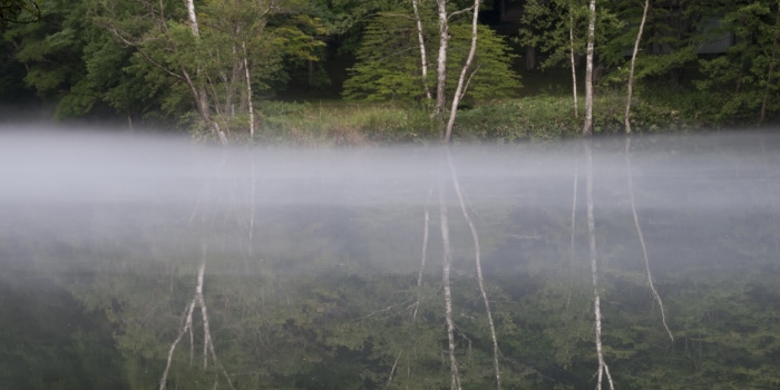 Police Still Can’t Find Missing Japanese Boy, Left In The Woods As Punishment By Parents
