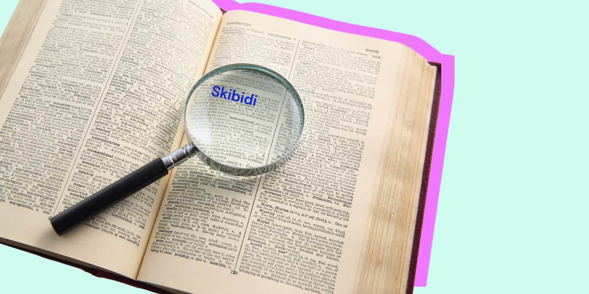 Skibidi and Delulu Have Been Added to the Cambridge Dictionary