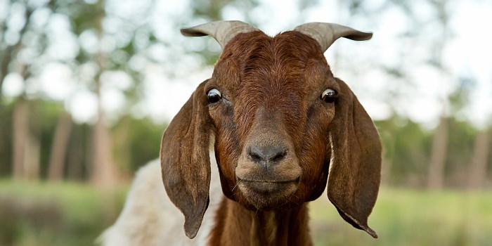 What Do We Call Gen Z (AKA Anyone Born After 1995)? How About “Generation Scapegoat”?