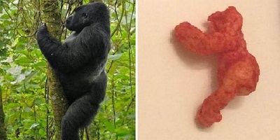 A Cheeto That Looks Like Harambe Sold for $AU130,000