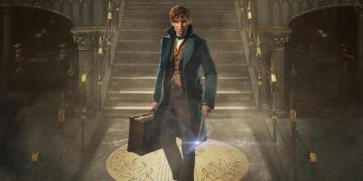 The Boy Who Lived, Again: All The New Stuff You Can "Expecto" From The World Of Harry Potter