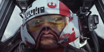 It Is With a Heavy Heart We Must Inform You Nien Nunb Is Dead