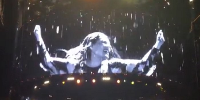 Watch Adele Freak Out Over an Official Aussie Greeting From a Mosquito Swarm