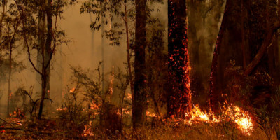 Where To Find Emergency Accommodation If You’re Impacted by Australia's Bushfires